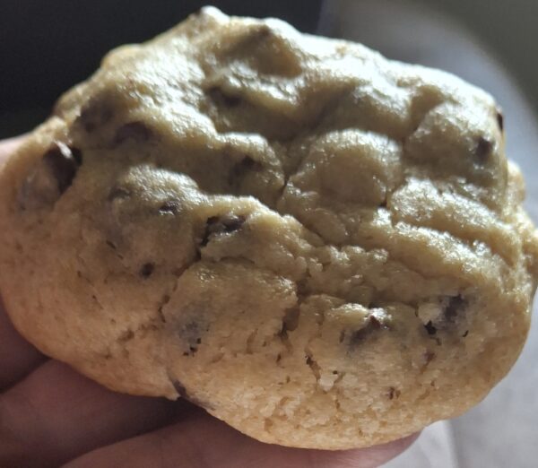 Chocolate Chip Cookie